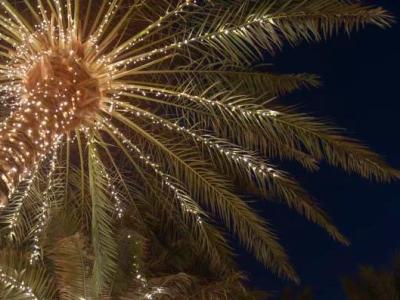 Greet the New Year in Greater Palm Springs