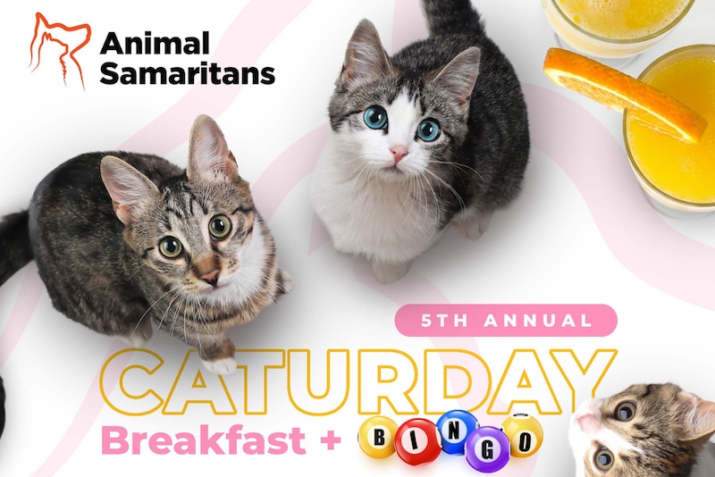 5th Annual Caturday Breakfast