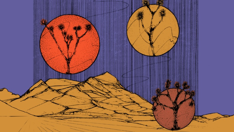 2026 Joshua Tree Music Festival crop