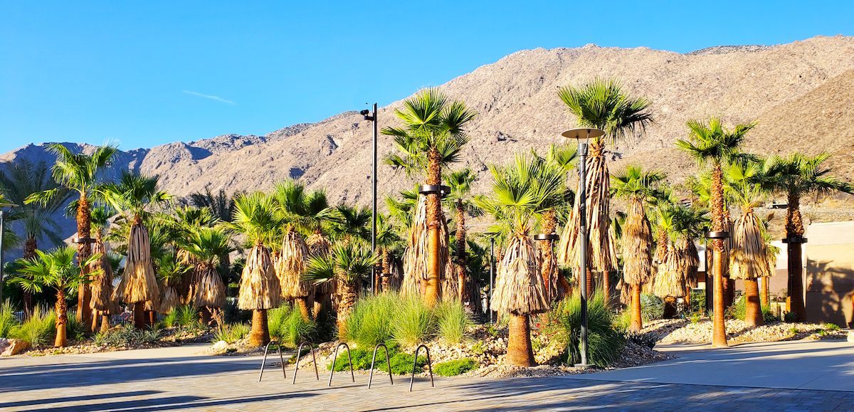 Palm Springs Downtown Park