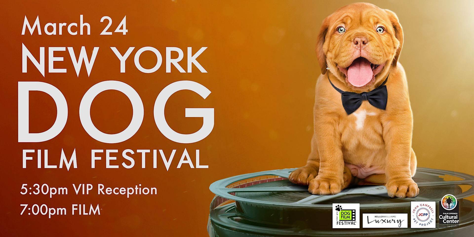 2023 New York Dog Film Festival + Benefit Gay Desert Guide Palm Springs