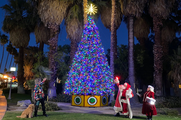 Tree Lighting Ceremony : Jingle Mingle