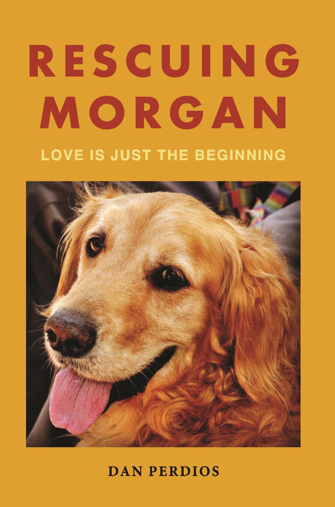 Calling All Cat & Dog Lovers!