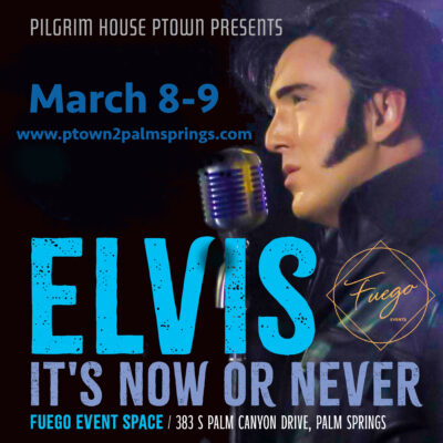 Elvis It's Now or Never 2 Shows