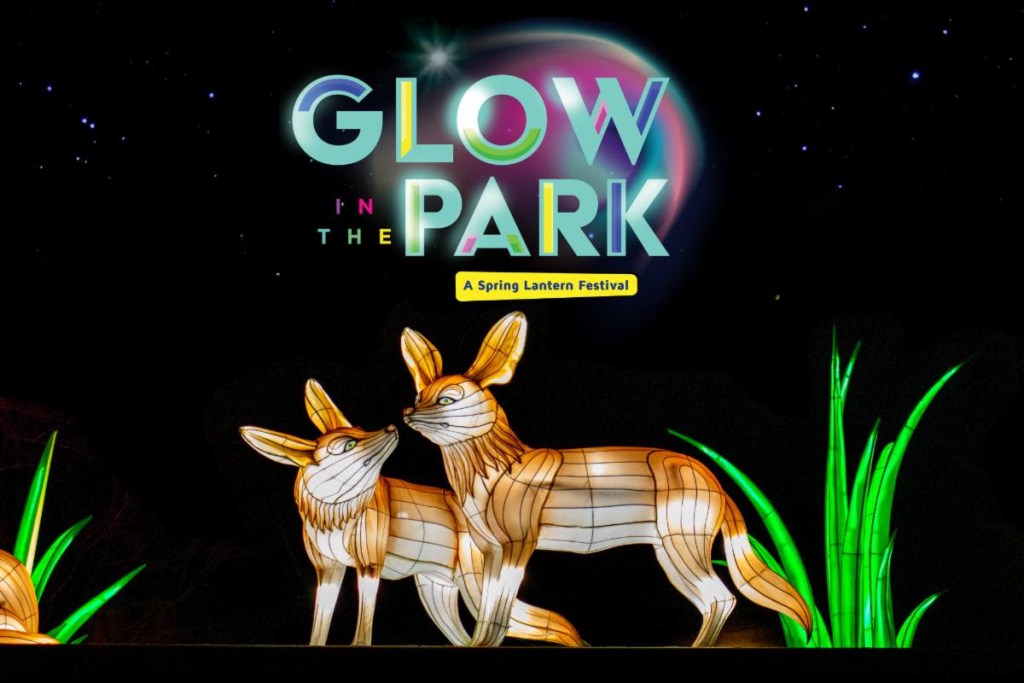 Glow in the Park Foxes