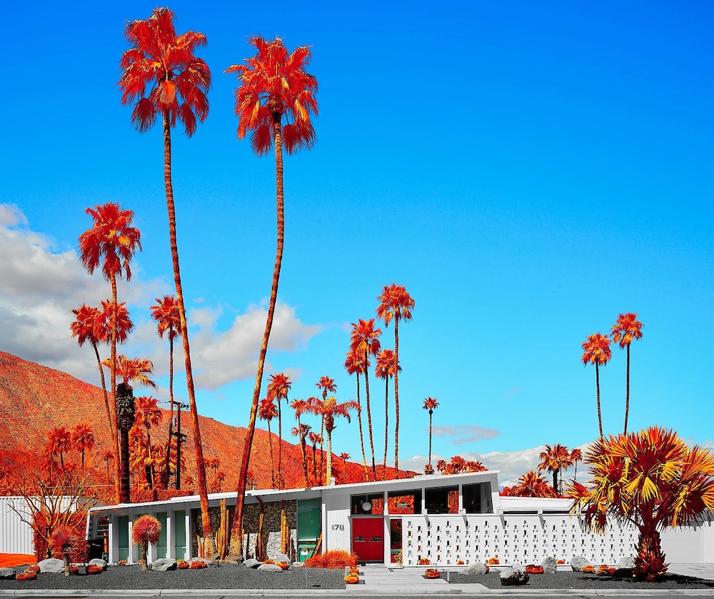 Understanding Palm Springs’ Springs and Palms: History, Culture, and Climate Insight