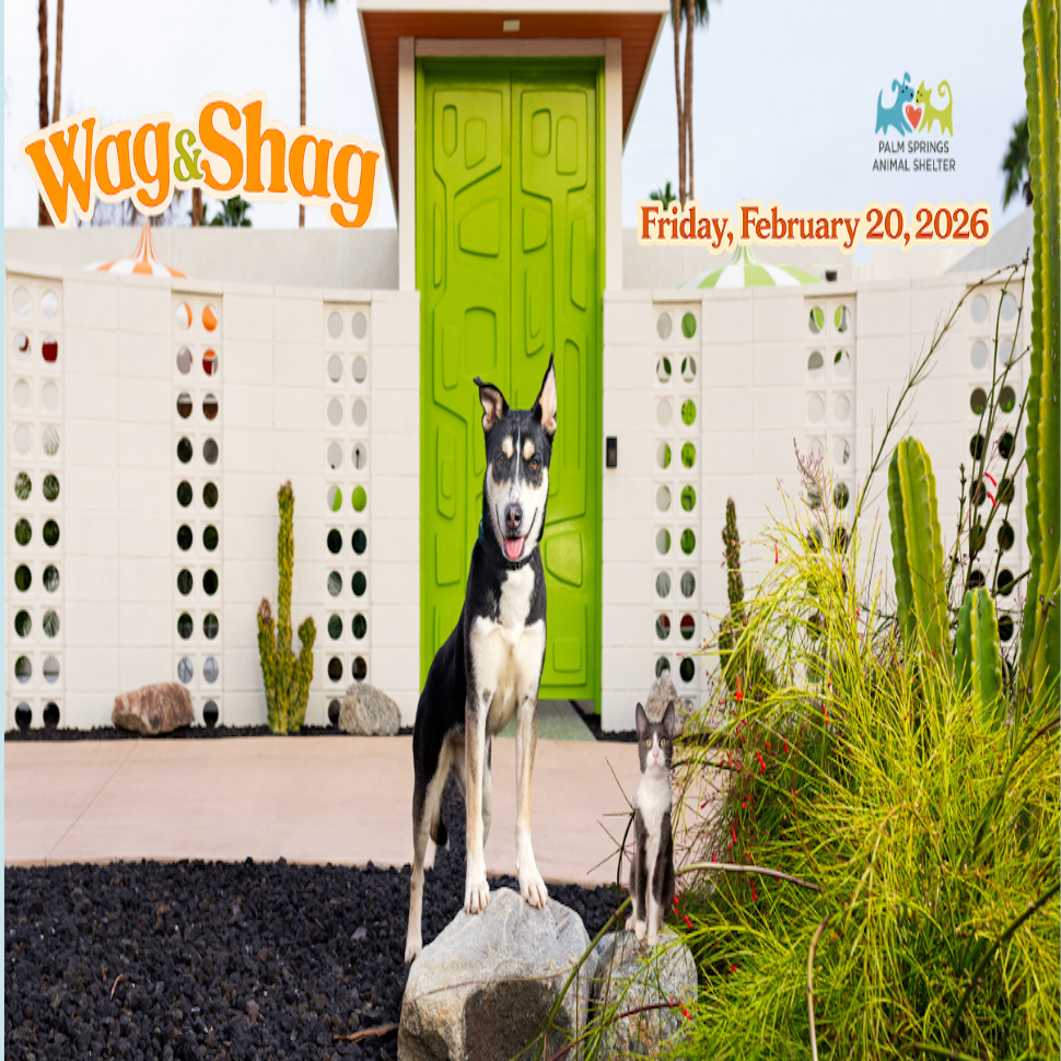 Wag \u0026 Shag at the SHAG House