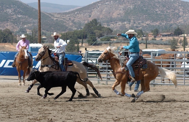 Palm Springs Hot Rodeo