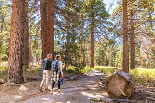 Hike Mount San Jacinto State Park 2