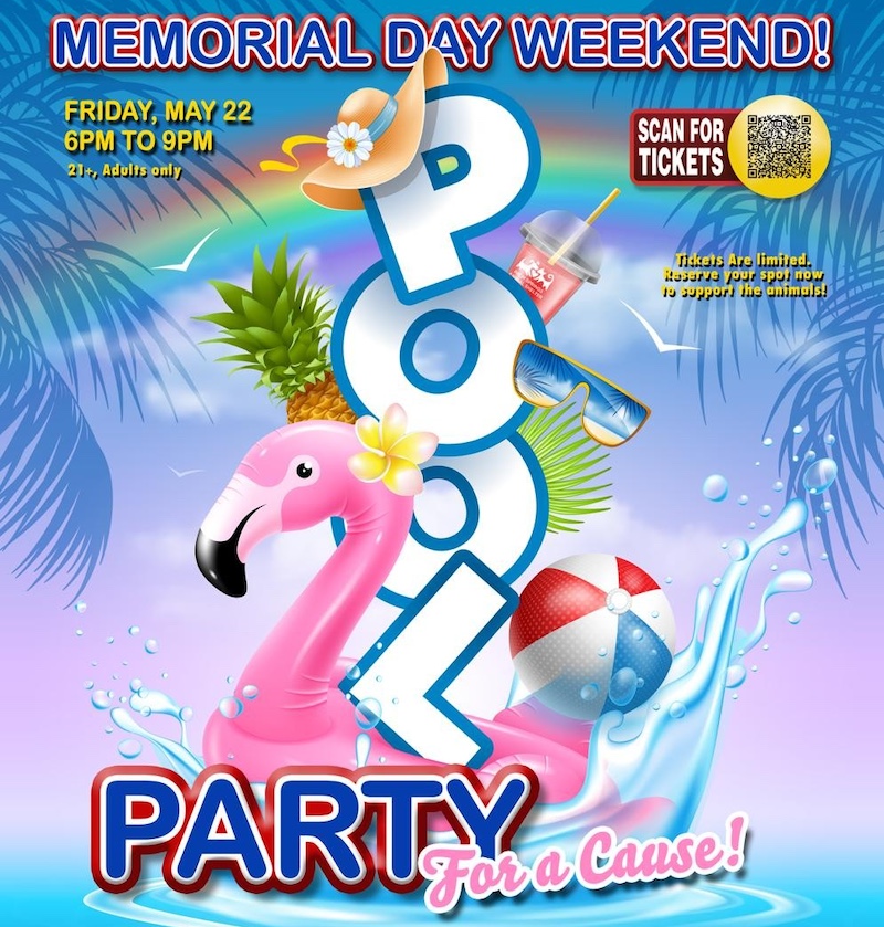 Pool Party for a Cause 2026